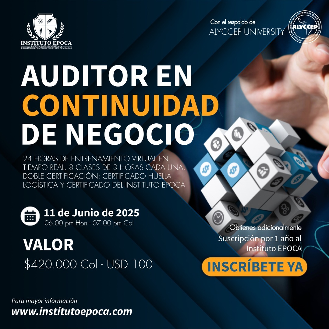 aUDITOR EN CONTINUIDAD DE NEGCIO