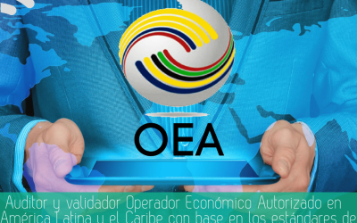 miniatura del curso