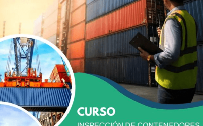 miniatura del curso